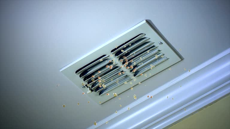 Best Best Air Duct Cleaning Company  in Pembroke, NC